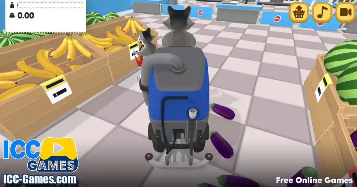 Raccoon Retail online