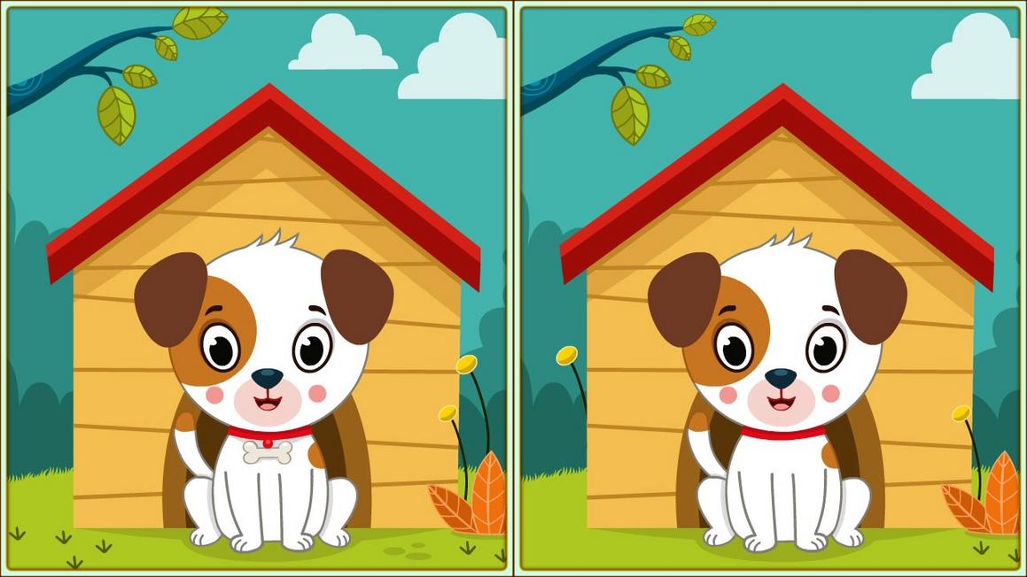 Spot 5 Differences thumbnail